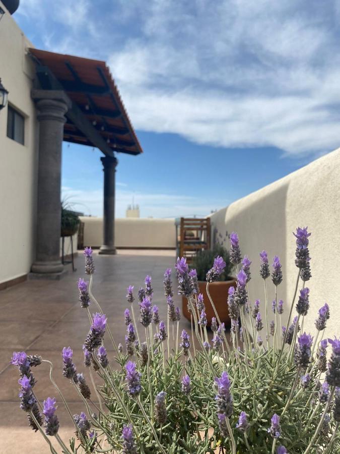 Hotel La Lejona San Miguel de Allende Eksteriør billede